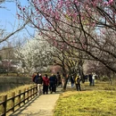 北京旅游 缩略图 13