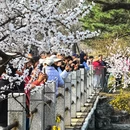 北京旅游 缩略图 11