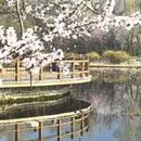 北京旅游 缩略图 18