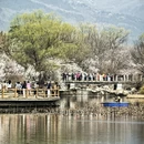 北京旅游 缩略图 14