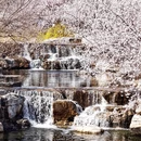 北京旅游 缩略图 15