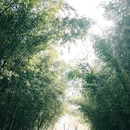 潍坊旅游 缩略图 9