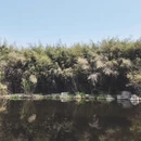 潍坊旅游 缩略图 4
