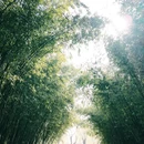 潍坊旅游 缩略图 5