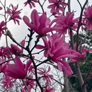 北京旅游 缩略图 5