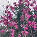 北京旅游 缩略图 4