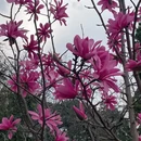 北京旅游 缩略图 3