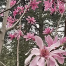 北京旅游 缩略图 8