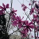 北京旅游 缩略图 6
