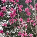 北京旅游 缩略图 2