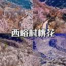 北京旅游 缩略图 4