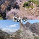 北京旅游 缩略图 7