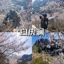 北京旅游 缩略图 2