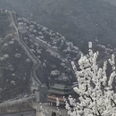 北京旅游 缩略图 2