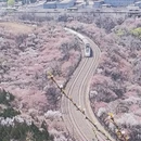北京旅游 缩略图 4