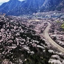 北京旅游 缩略图 7