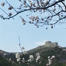 北京旅游 缩略图 5