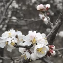 北京旅游 缩略图 10
