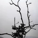 北京旅游 缩略图 11