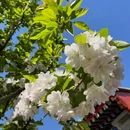 北京旅游 缩略图 6