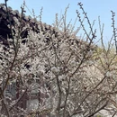 北京旅游 缩略图 4