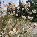北京旅游 缩略图 2