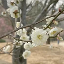北京旅游 缩略图 10