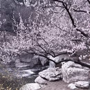 北京旅游 缩略图 2