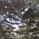 北京旅游 缩略图 6
