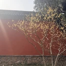 北京旅游 缩略图 11