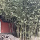 北京旅游 缩略图 10