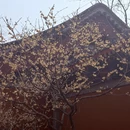 北京旅游 缩略图 13