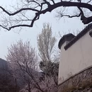 北京旅游 缩略图 15