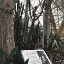 南京旅游 缩略图 8