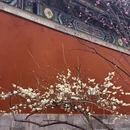 北京旅游 缩略图 12