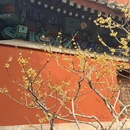 北京旅游 缩略图 14
