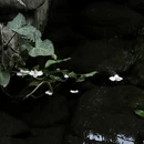 南京旅游 缩略图 7