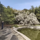 北京旅游 缩略图 5