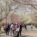 北京旅游 缩略图 3