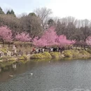 北京旅游 缩略图 1