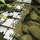 南京旅游 缩略图 6