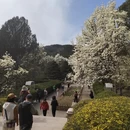 北京旅游 缩略图 6