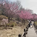 北京旅游 缩略图 4