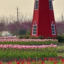 宿州旅游 缩略图 3