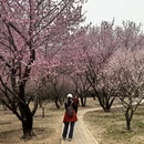 北京旅游 缩略图 2