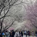 北京旅游 缩略图 3