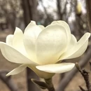 北京旅游 缩略图 19