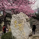 北京旅游 缩略图 4