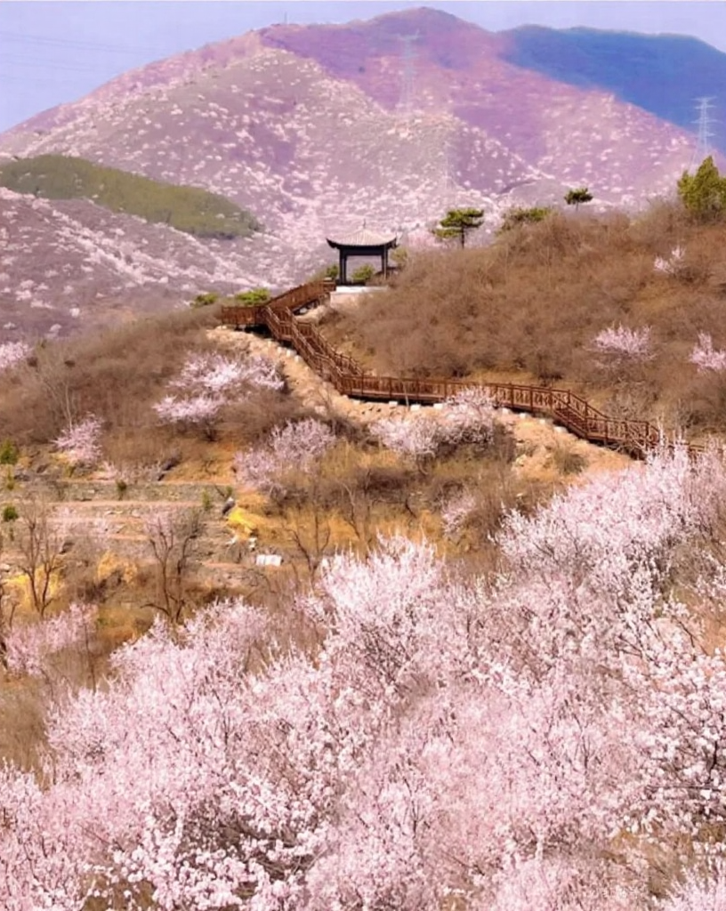 北京旅游