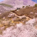 北京旅游 缩略图 1